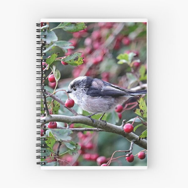 Item preview, Long Tailed Tit, bird designed and sold by BryanDevon.
