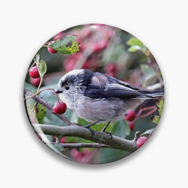 Item preview, Long Tailed Tit, bird designed and sold by BryanDevon.