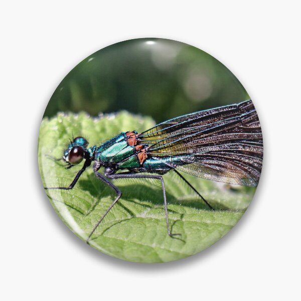 Item preview, Damsel Fly, a pretty insect designed and sold by BryanDevon.