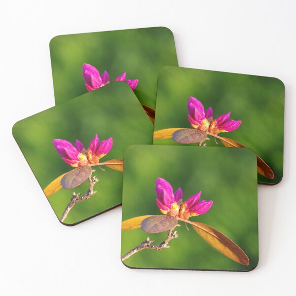 Item preview, Budding rhododendron at sunrise designed and sold by silverwheelarts.