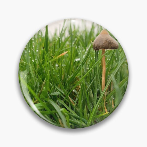 Item preview, Liberty Cap Magic Mushroom in Nature designed and sold by MushroomMagical.