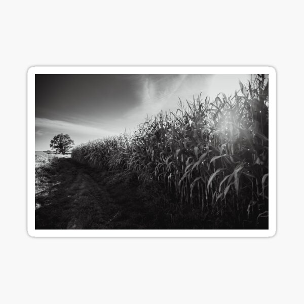 Nature black and white photography Sticker