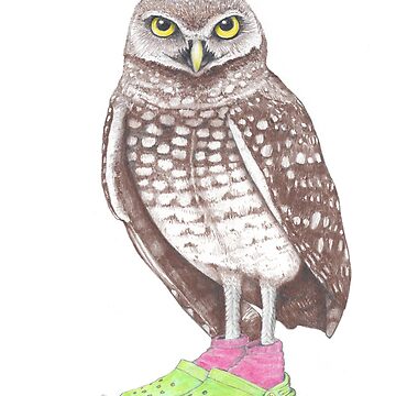 Artwork thumbnail, Burrowing Owl in Crocs by JimsBirds