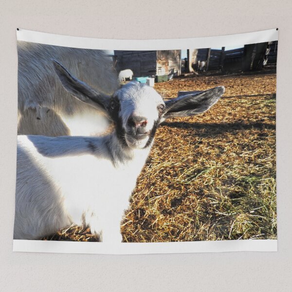 Item preview, cute elf eared goat designed and sold by Stephanie  Skeem.