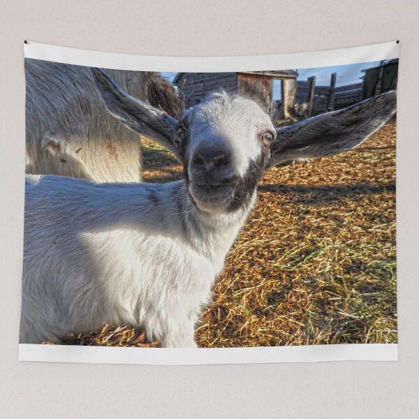 Item preview, long eared cute goat designed and sold by Stephanie  Skeem.