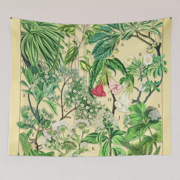 Item preview, The Native Flora of St. Helena Victorian Botanical Chart designed and sold by BlossomCreative.