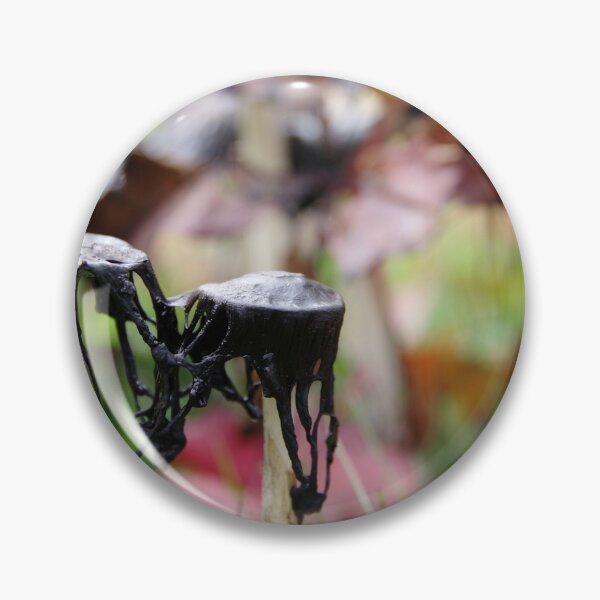 Item preview, Decaying mushrooms with autumn leaves designed and sold by silverwheelarts.