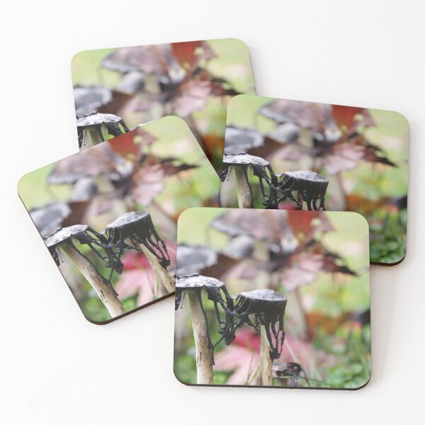 Item preview, Decaying mushrooms with autumn leaves designed and sold by silverwheelarts.