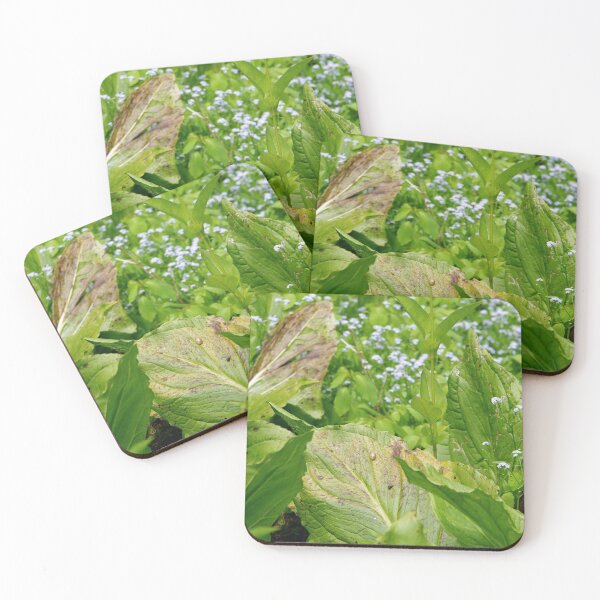 Item preview, June morning in the bog designed and sold by silverwheelarts.