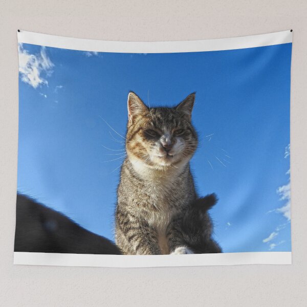 Item preview, the face of monday, cat  designed and sold by Stephanie  Skeem.