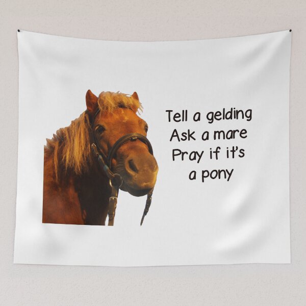 Item preview, Pray if it's a Pony designed and sold by j9gothbe.