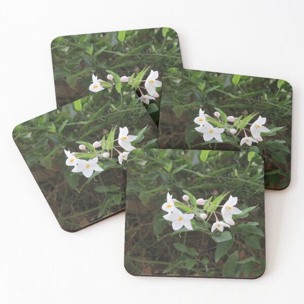 Item preview, Potato vine flowers designed and sold by greentiger1.