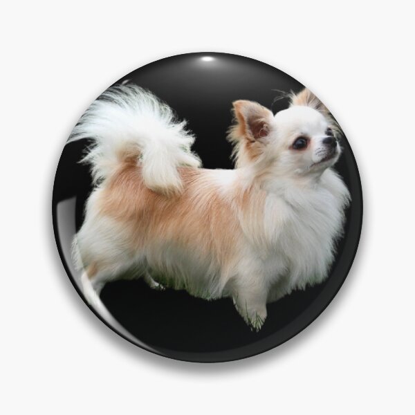 Item preview, Chihuahua work designed and sold by AMYJAMIN.