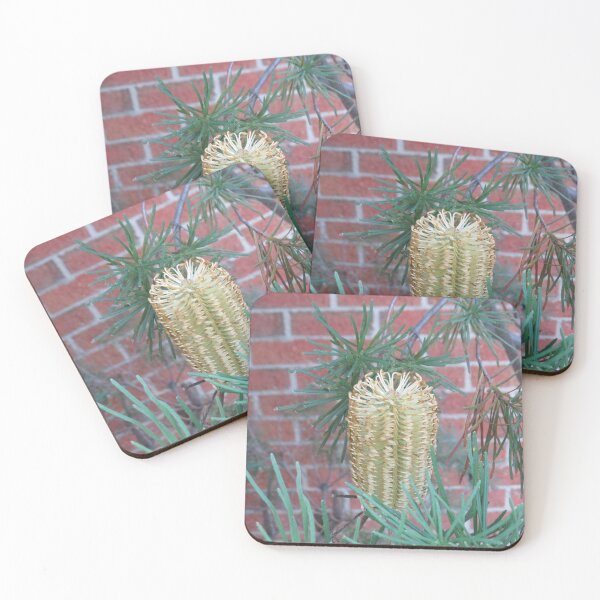 Item preview, Hairpin banksia designed and sold by greentiger1.
