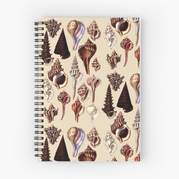 Item preview, Sea Shell Collection, Vintage Drawings. Natural tones, browns and pinks. Beautiful Conch and Murex Shells designed and sold by Orianah.