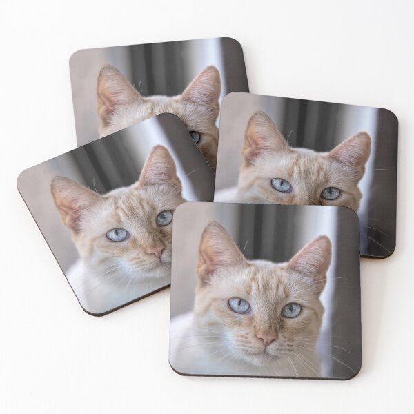 Item preview, Friendly Flame Point Siamese designed and sold by Elisabeth Lucas.