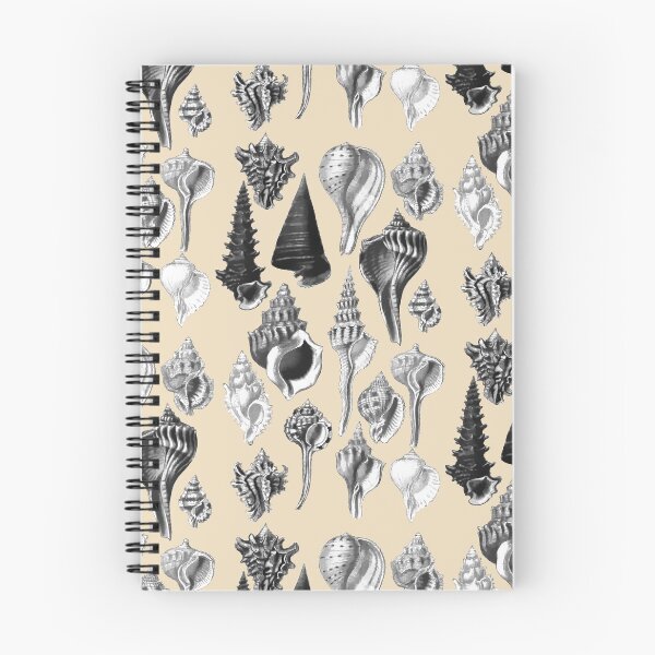Item preview, Sea Shell Collection, Vintage Drawings. Black and White Drawings for home decor and accessories. Beautiful Conch and Murex Shells designed and sold by Orianah.