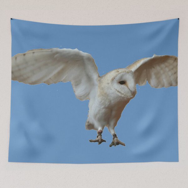 Item preview, Snowy Owl designed and sold by Mrspink16.