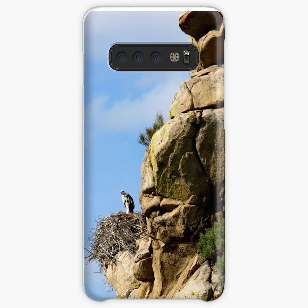 Preparing to Graduate and Soar Case & Skin for Samsung Galaxy