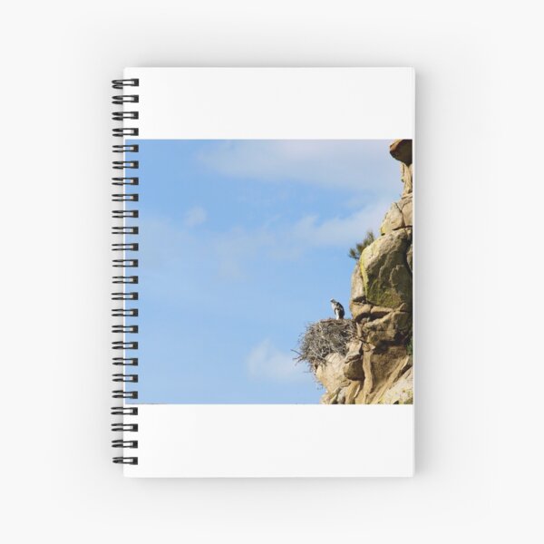 Preparing to Graduate and Soar Spiral Notebook