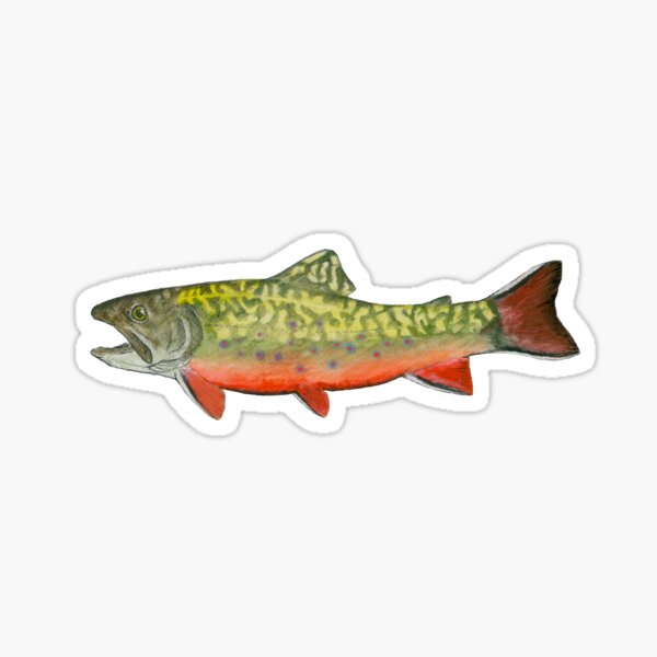 Brook Trout Fish North Carolina State Map Fishing Gifts - Brook Trout -  Sticker