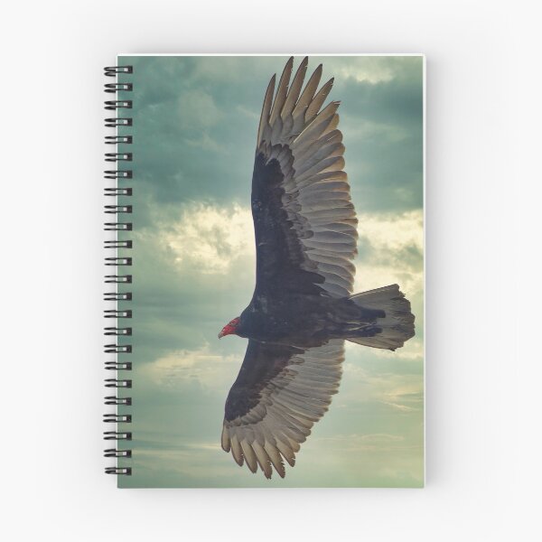 Item preview, Turkey Vulture  designed and sold by KDartisticeye.