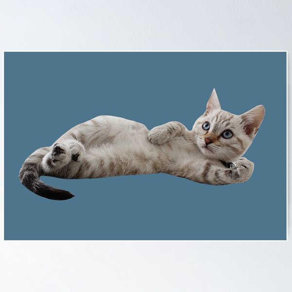 Item preview, Cute Cat Layed Down (Blue) designed and sold by FilipeFerreira.