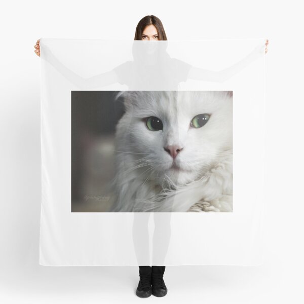 My Get What I Want Face Scarf