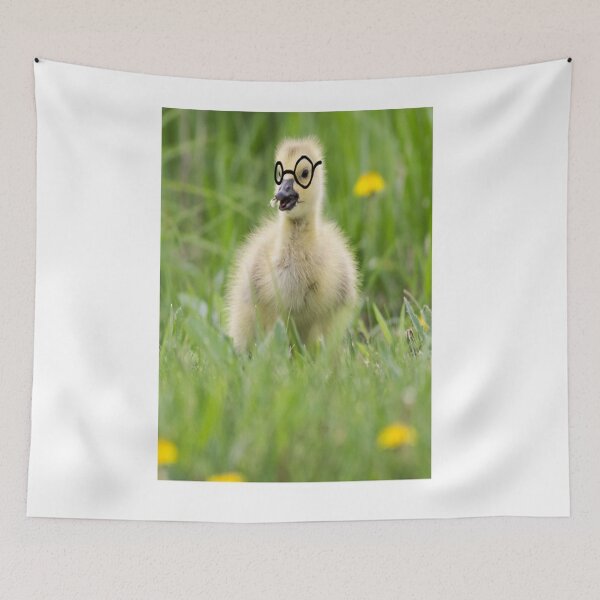 Item preview, Baby Duck wearing glasses designed and sold by CUTESTUFFnow.