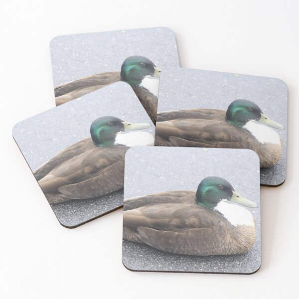 Item preview, Sitting Duck designed and sold by aligata1970.