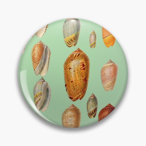 Item preview, Sea Shell Collection, Vintage Drawings. Natural tones, browns and pinks. Beautiful Lettered Olive Shells designed and sold by Orianah.