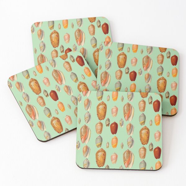 Item preview, Sea Shell Collection, Vintage Drawings. Natural tones, browns and pinks. Beautiful Lettered Olive Shells designed and sold by Orianah.