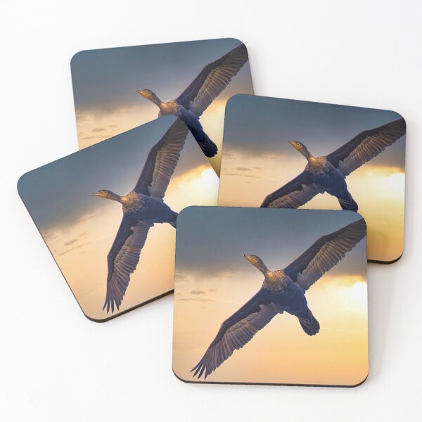 Item preview, Double Crested Cormorant designed and sold by KDartisticeye.