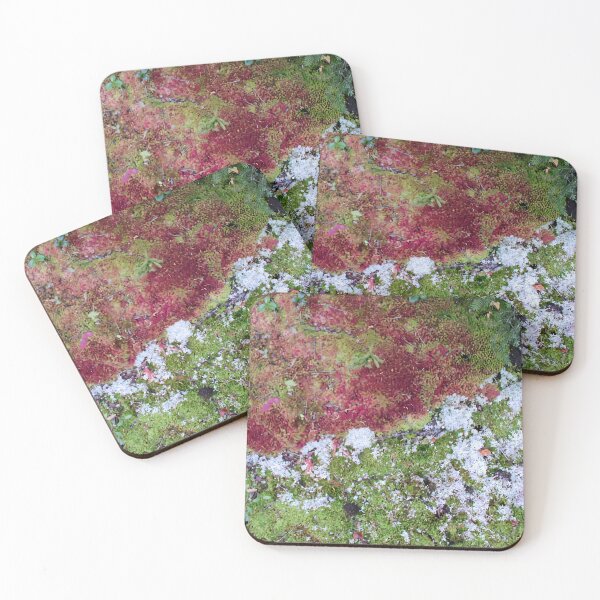 Artikelvorschau, Appalachian Trail Moss # 04 entworfen und verkauft von vortexatelier.