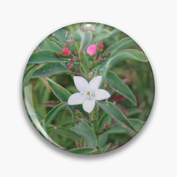 Item preview, Flor de cera de hoja larga designed and sold by greentiger1.