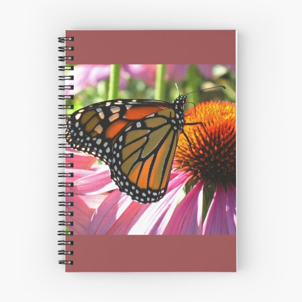 Aperçu de l'œuvre Papillon monarque sur l'échinacée créée et vendue par mahindle.