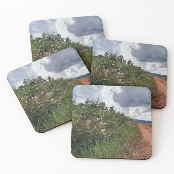 Item preview, Back Roads in Belize designed and sold by felfriesen.