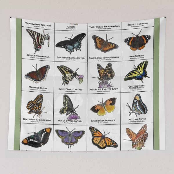 Item preview, Butterflies of North America designed and sold by Catherinehou.
