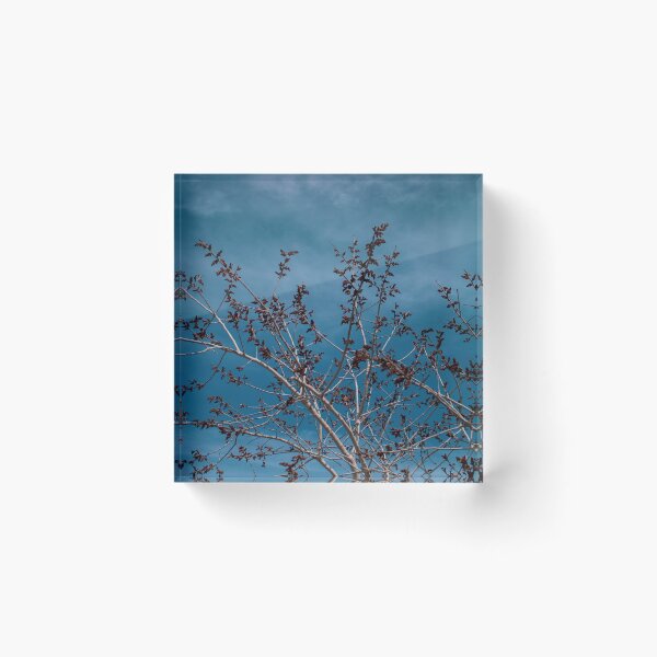 Item preview, Weary Grey Tree designed and sold by James Arnett.
