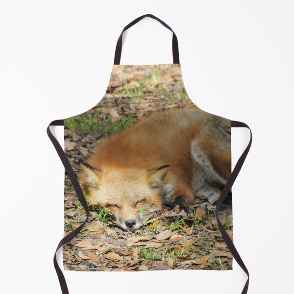 Item preview, Sleepy Fox designed and sold by Autumn Seas Photography.