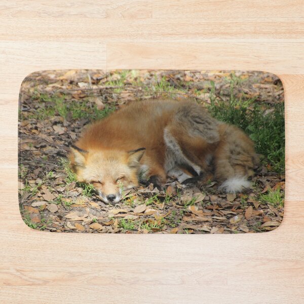 Item preview, Sleepy Fox designed and sold by Autumn Seas Photography.