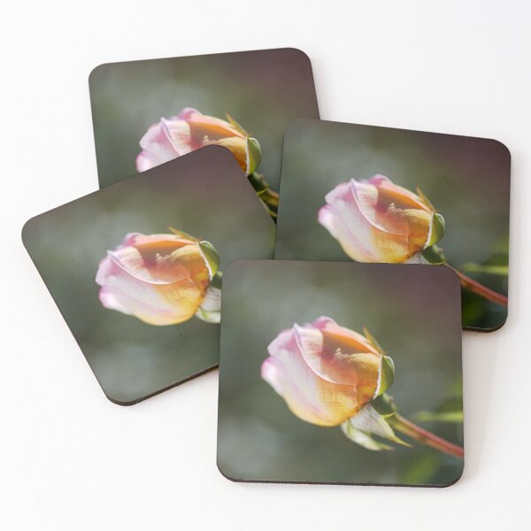 Item preview, Rose Bud Pink Abraham Darby  designed and sold by Joy Watson - Natural Light Photography .