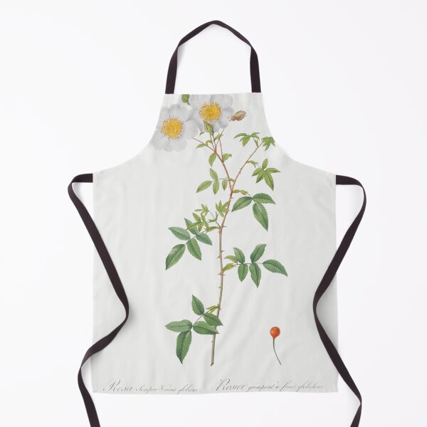 Item preview, Les Roses by Pierre-Joseph Redouté designed and sold by EsotericBotanic.