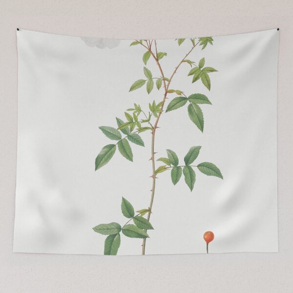 Item preview, Les Roses by Pierre-Joseph Redouté designed and sold by EsotericBotanic.
