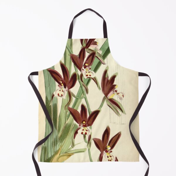 Item preview, Cymbidium atropurpureum (as Cymbidium pendulum var. atropurpureum) Curtis' 94 (Ser. 3 no. 24) pl. 5710 (1868) designed and sold by EsotericBotanic.