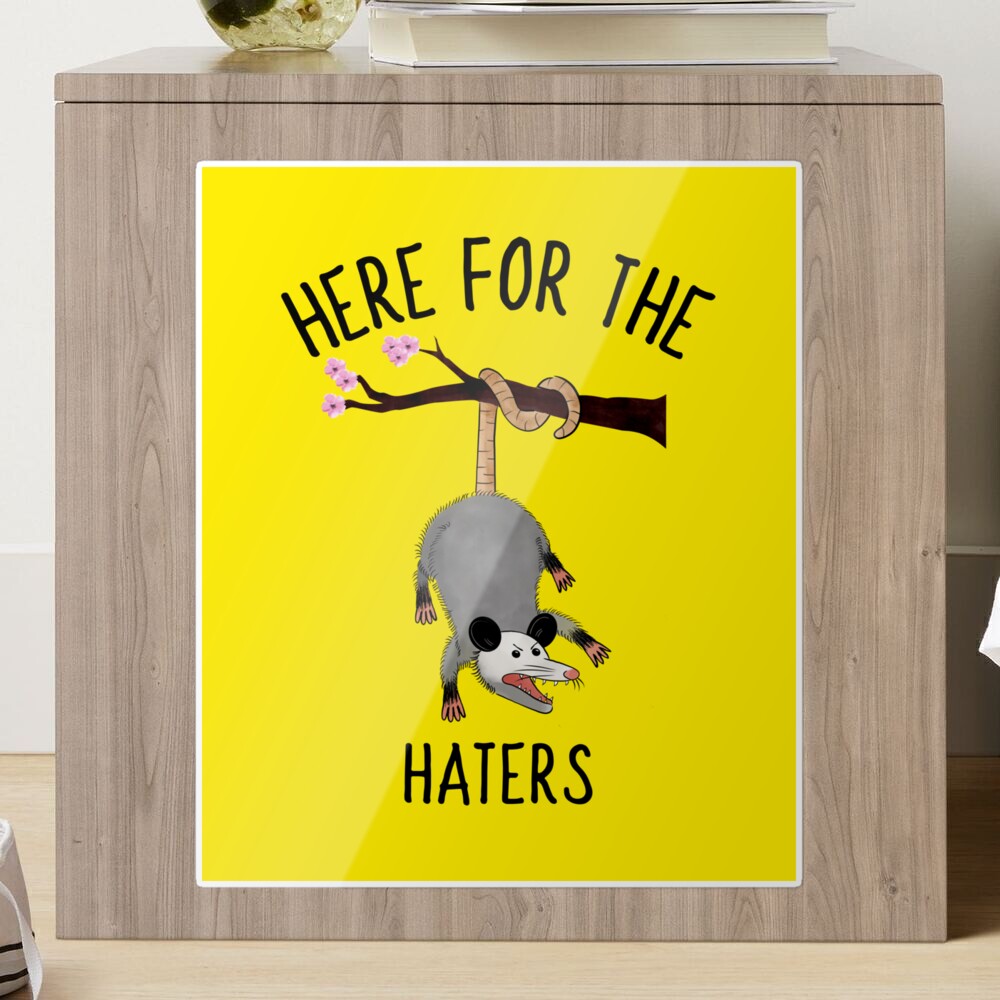 Here for the Trash Talking Funny Possum Design Poster for Sale by  boopsblunt