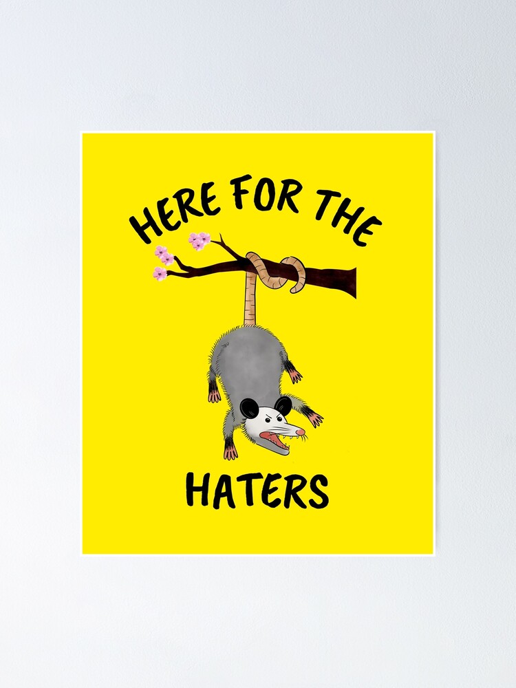 Here for the Trash Talking Funny Possum Design Poster for Sale by  boopsblunt