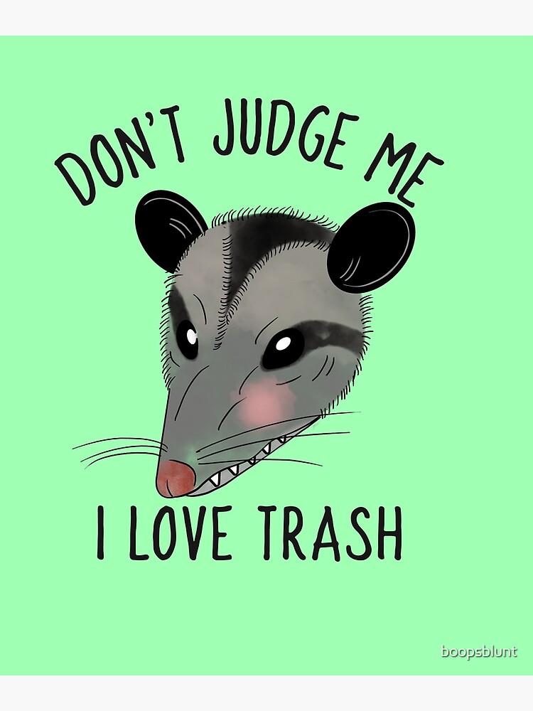 Here for the Trash Talking Funny Possum Design Poster for Sale by  boopsblunt