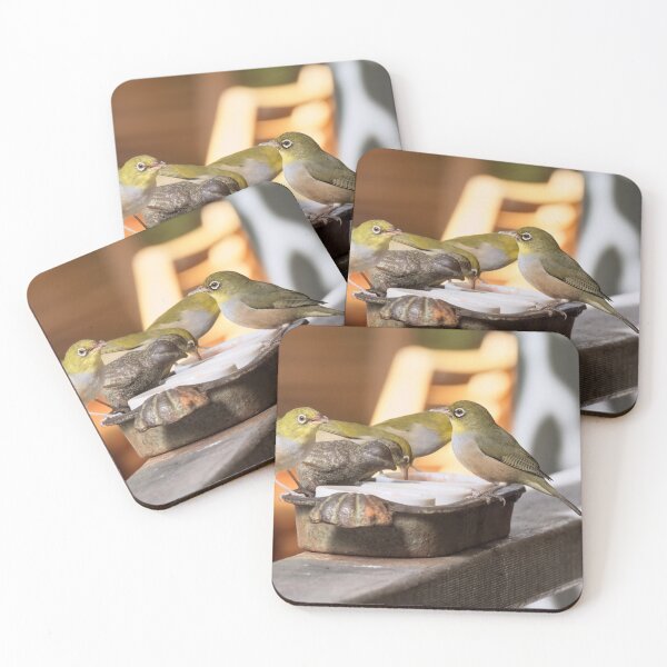 Item preview, Australian Silvereye birds feeding photo designed and sold by hendrikspix.