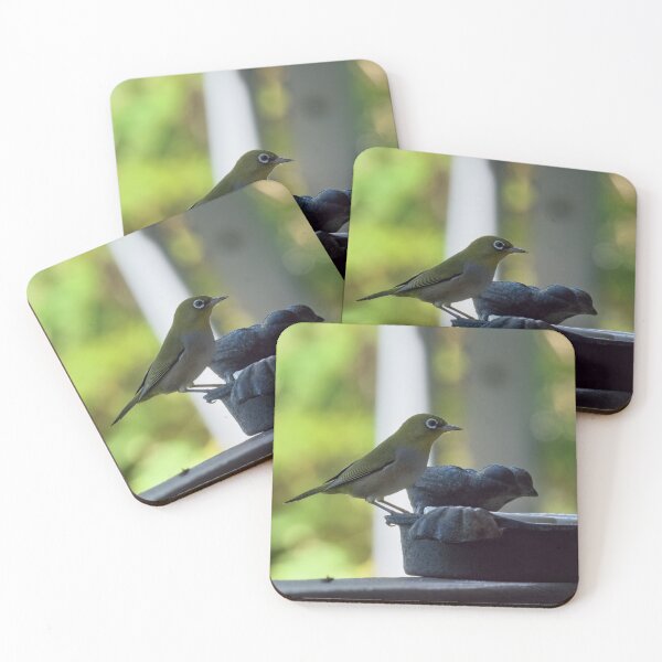 Item preview, Australian Silvereye bird feeding photo designed and sold by hendrikspix.